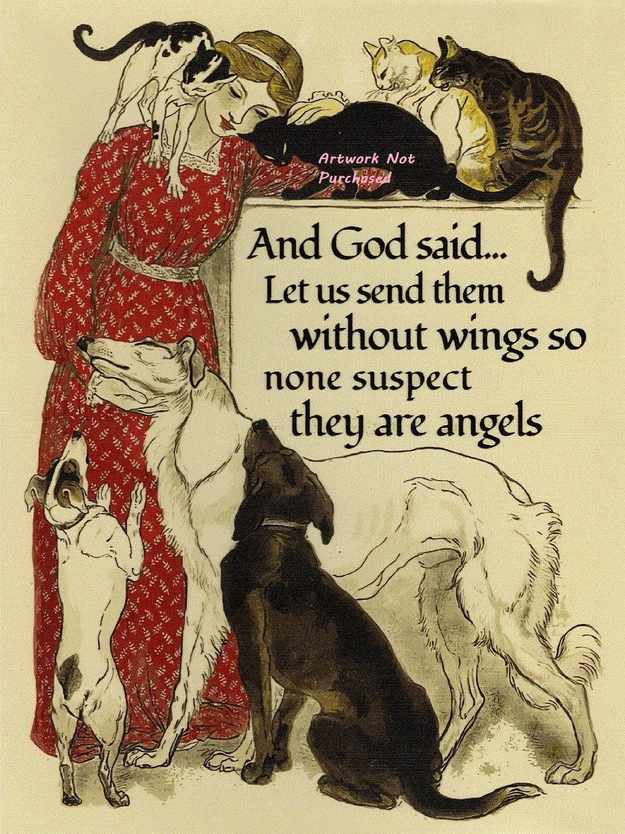 God Said Let Us Send Them Without Wings