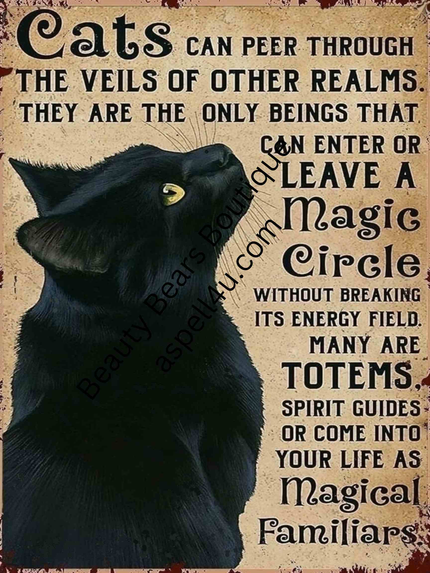Black Cat Magical Familiars