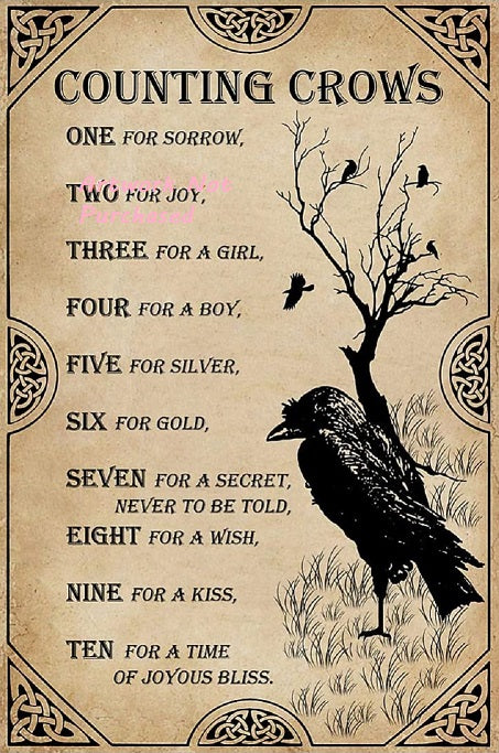 Counting Crows Quote