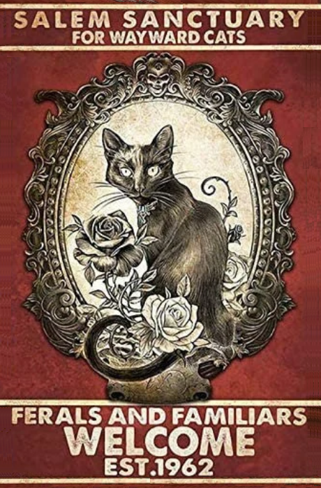 Salem Sanctuary for Wayward Cats Halloween Vintage Art - High Res Versatile Digital Print Instant Download Fairycore, Cottagecore, DIY Craft