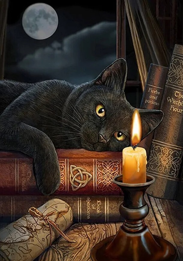 Black Cat with Burning Candle in Study with Books size 3368x4800 dpi 300 DIY Printable Up To 36x48 Inches Wiccan Art Instant File Download