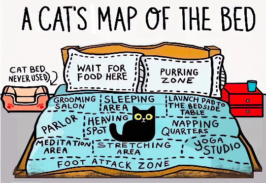 Corgi NOPE Not Today Stacked Cupcake Theft Digital Download Art Print