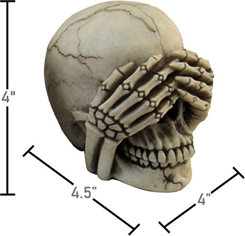 Macabre Halloween Gothic Home Décor Set of Three (3) See Hear Speak No Evil Realistic Mini Skull Figurines , 4.5-inch