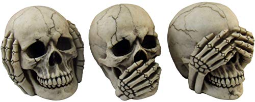 Macabre Halloween Gothic Home Décor Set of Three (3) See Hear Speak No Evil Realistic Mini Skull Figurines , 4.5-inch