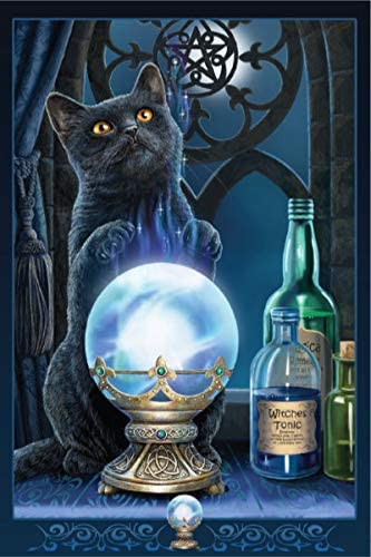 Magical Cats - 12x18 Decorative Poster Prints Set of 4