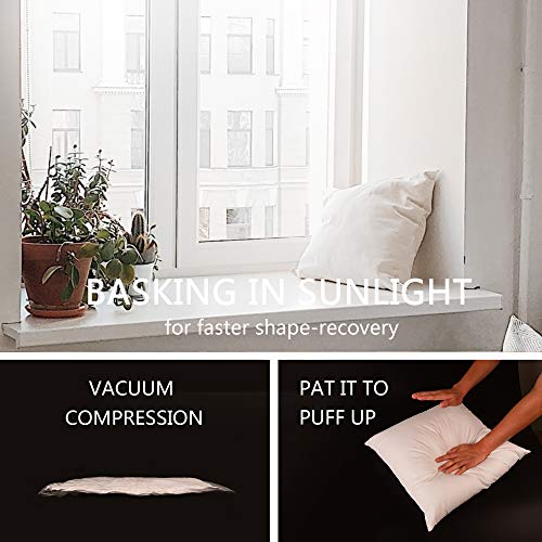 Luxury Throw Pillow Insert Soft Fluffy Down Alternative Polyester Square Form Sham Stuffer Cotton Cover for Sofa Couch Bed Car White 18x18