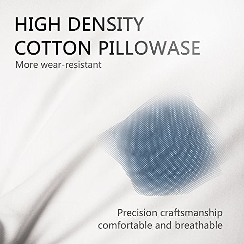 Luxury Throw Pillow Insert Soft Fluffy Down Alternative Polyester Square Form Sham Stuffer Cotton Cover for Sofa Couch Bed Car White 18x18