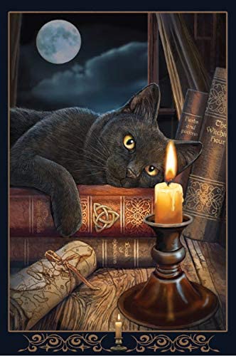 Magical Cats - 12x18 Decorative Poster Prints Set of 4