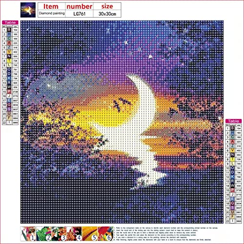 12 Pack DIY 5D Diamond Painting Kit,Diamond Painting Kits for Adults,Full Drill Diamond Art Paint by Numbers Star Moon Diamonds Gem Art Drill with Diamond Tool Sets 12" x 12"
