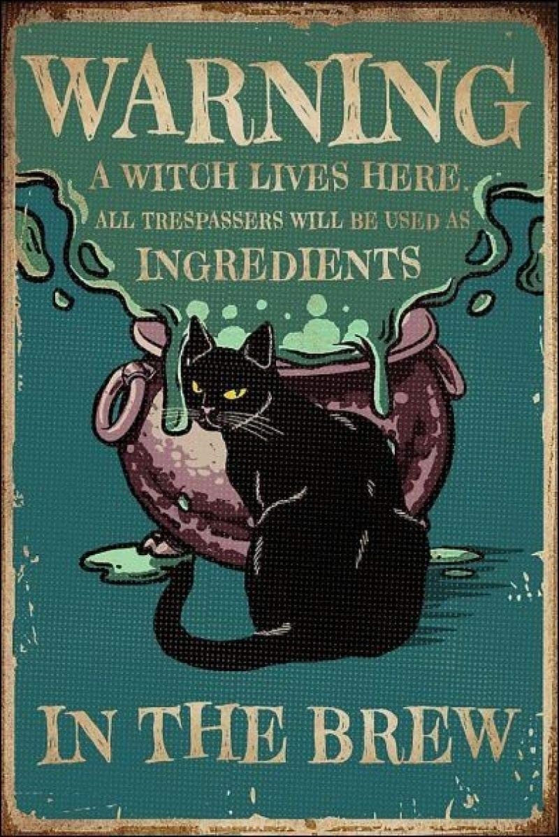 Warning A Witch Lives Here All Trespassers Will Be Used As Ingredients in The Brew | Halloween Retro Sign 12x8 Inch Metal Tin Sign