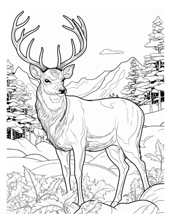 130 Winter Animal Coloring Pages For Adults Can be resized Lifetime access PERSONAL + LIMITED Commercial use