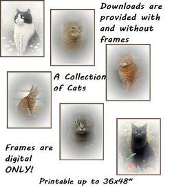 A Collection of Cats DIY Printable 