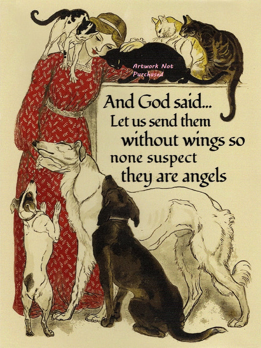 God Said Let Us Send Them Without Wings