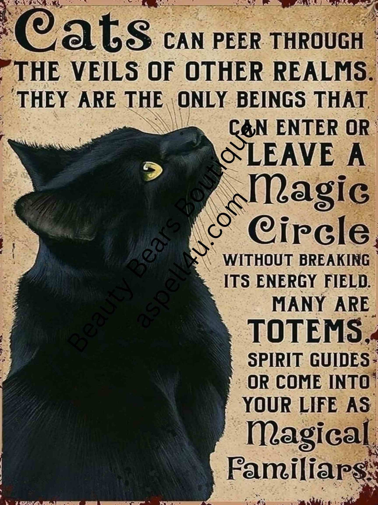 Black Cat Magical Familiars 