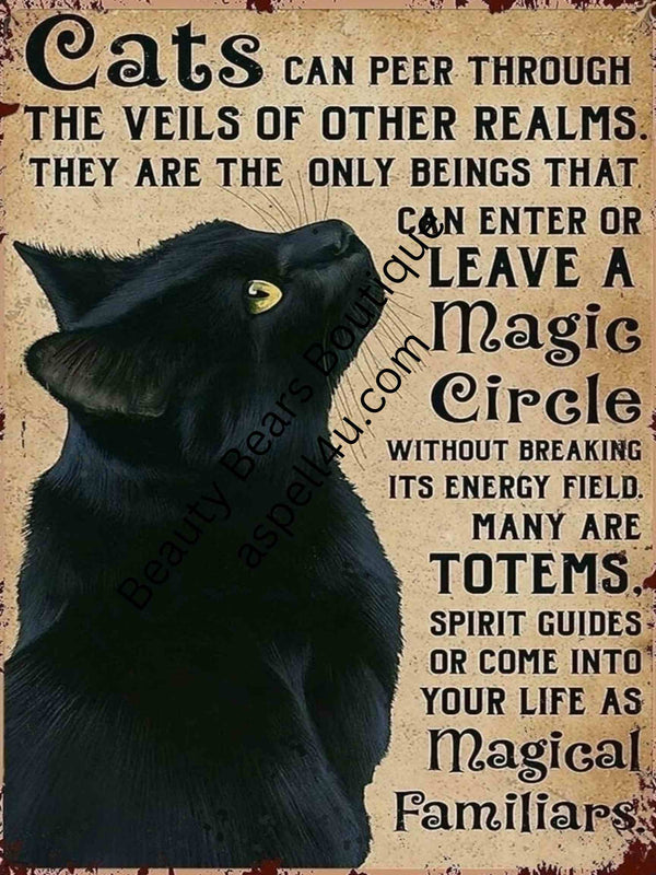 Black Cat Magical Familiars 