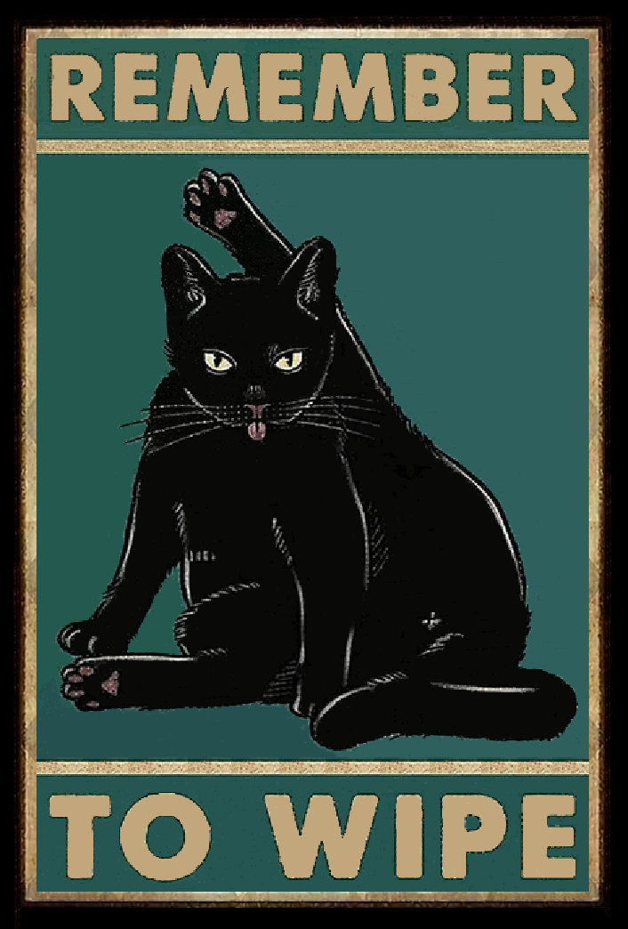 Black Cat Art - Remember To Wipe - Butt Napkins - AI Enhanced Versatile Digital Designed Instant Download Fairycore, Cottagecore, DIY Craft
