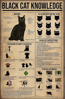 Black Cat Knowledge AI Created One of a Kind Digital Download Canvas Poster Wall Art DIY Printable DIY Craft Supply