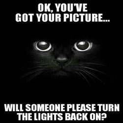 Black Cat Shenanigans: Light Up Your Life with AI-Powered Digital Art for Crafty Cat Lovers and Cottagecore Connoisseurs