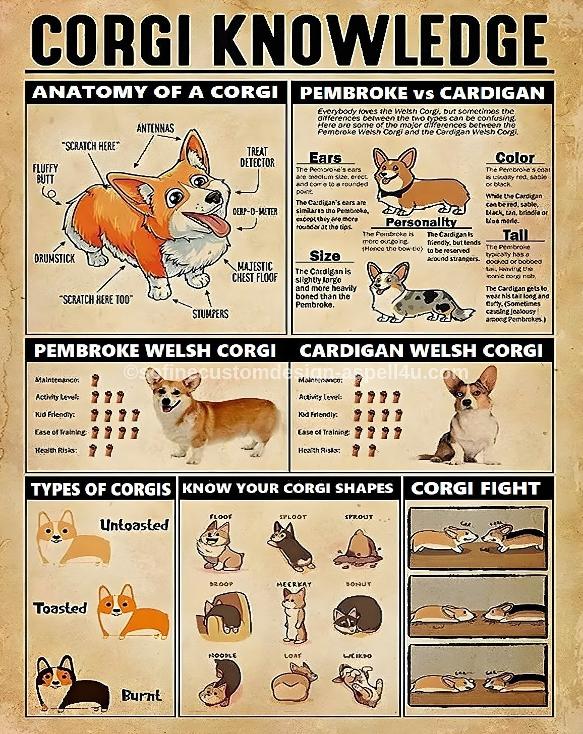 Corgi Knowledge Corgi Dog Lover Art Gift |AI Created One of a Kind Digital Download Canvas Poster Wall Art DIY Printable DIY Craft Supply
