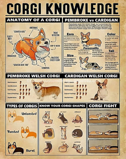 Corgi Knowledge Corgi Dog Lover Art Gift |AI Created One of a Kind Digital Download Canvas Poster Wall Art DIY Printable DIY Craft Supply
