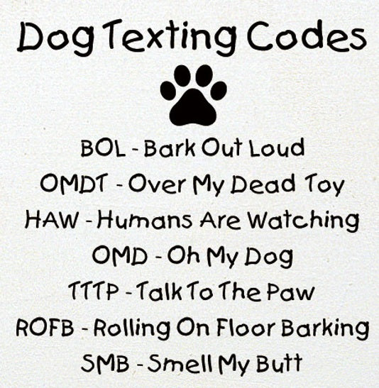 Dog Texting Codes Funny Print for Any Dog Lover Wall Decor Poster Wall Art Digital download Instant Access Can Be Edited