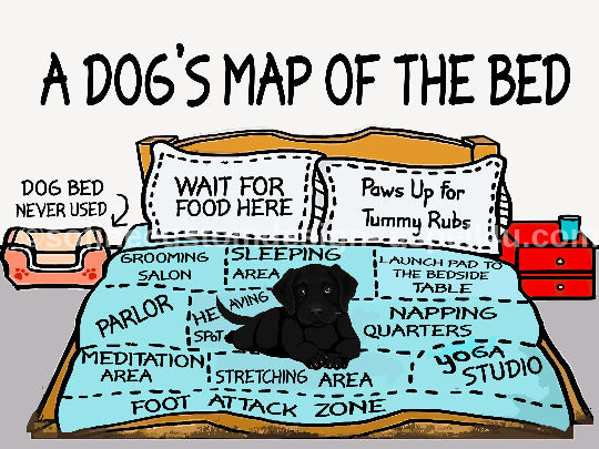 A Dogs Map of the Bed - Digital Download - Canvas Poster - One of A Kind Print - Custom Made AI Designed (Copy) (Copy) (Copy)