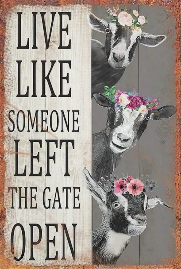 Live Like Someone Left The Gate Open Funny Home Decor Metal Tin Sign Vintage Retro Style Wall Art Kitchen Decoration Gift for Dog Lover Brand New Vintage