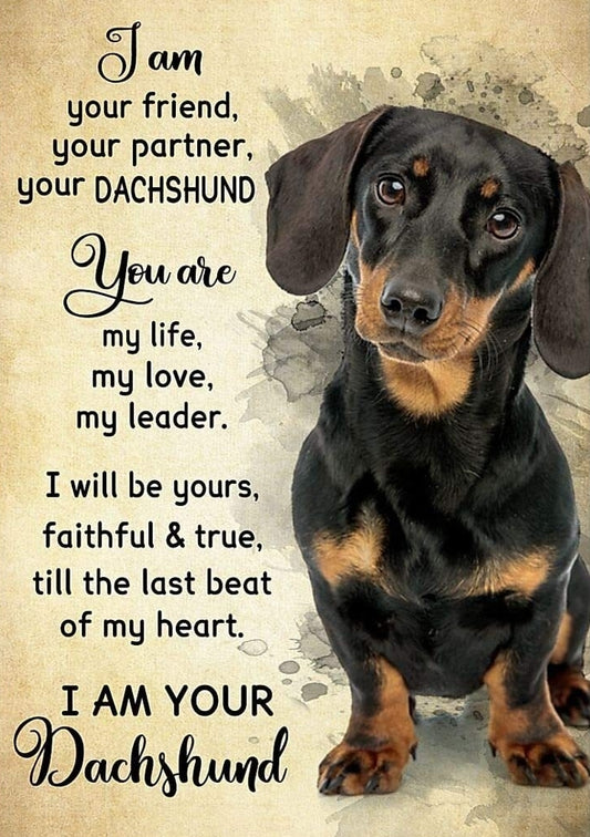 I Am Your Dachshunds - Weiner Dog Art Gift - Digital Download - Canvas Poster - One of A Kind Print - Custom Made AI Designed Wall Art