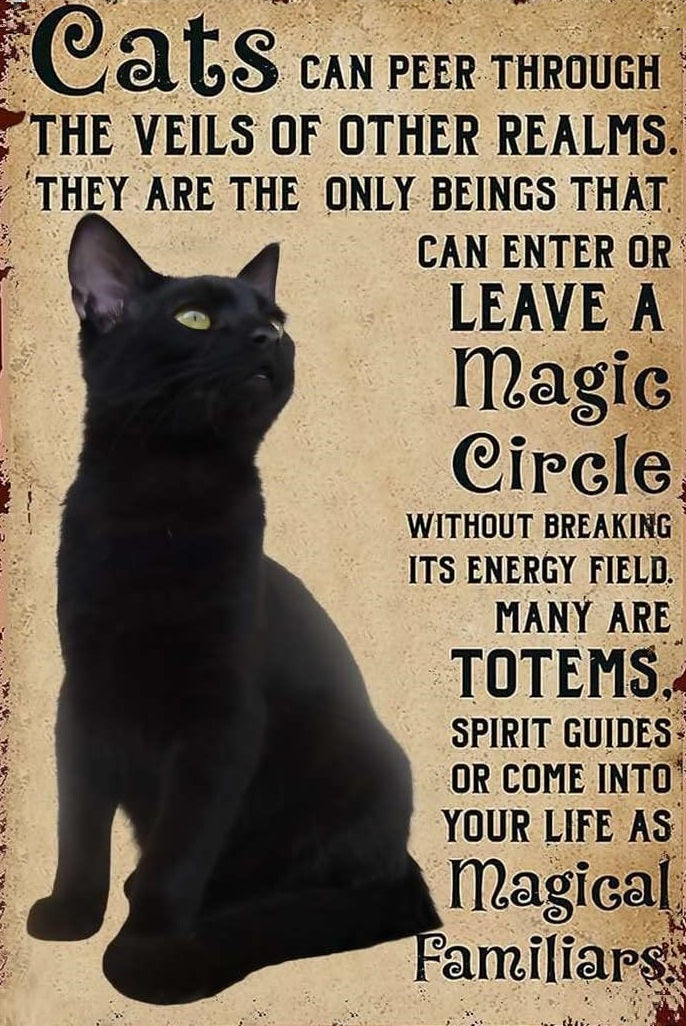 Magical Familiar Black Cat Lover Wicca Custom Coven Printable - AI Created Hand Crafted One of A Kind Digital Download Wall Art Cottage Core