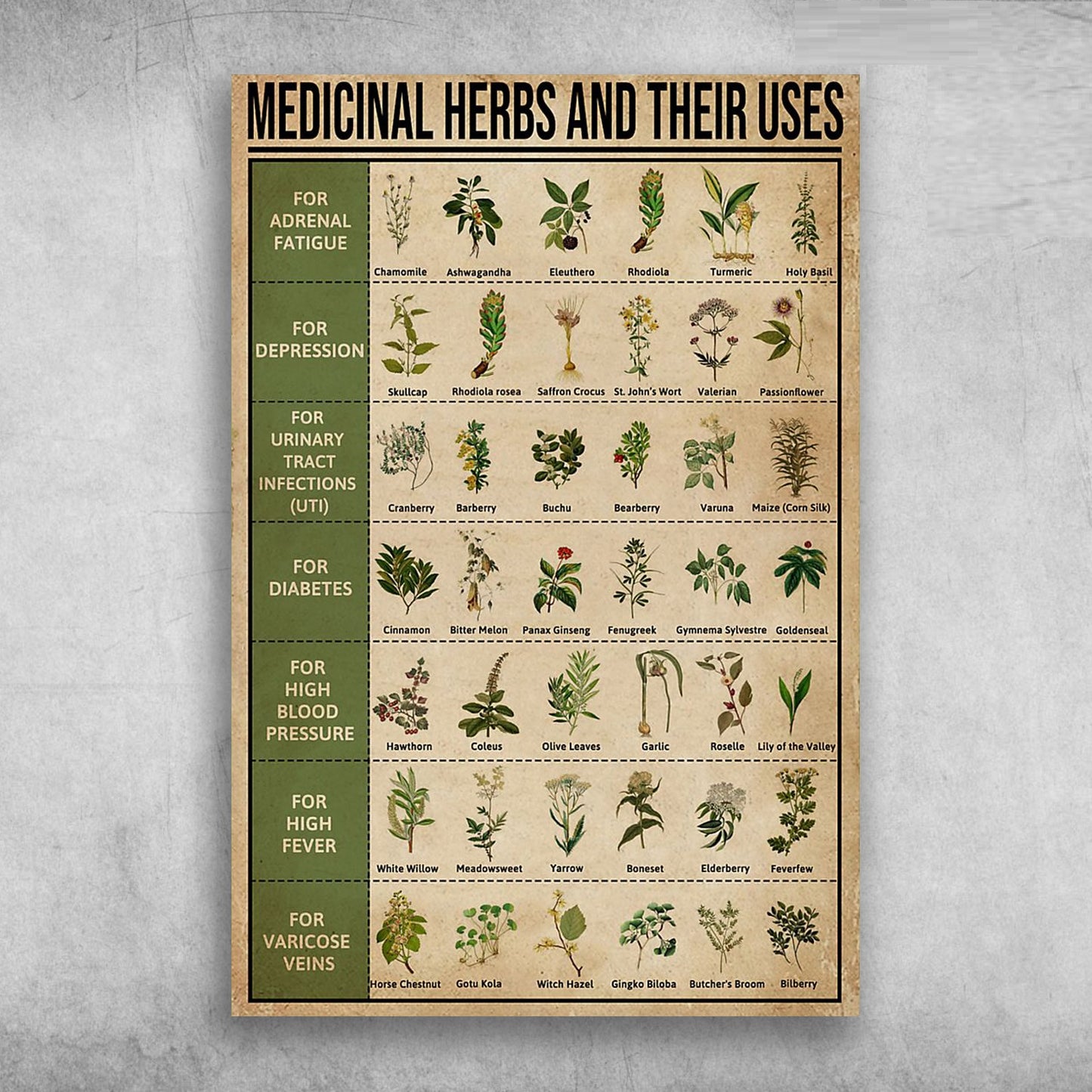 Medicinal Herbs And Their Uses For Adrenal Fatigue For Depression