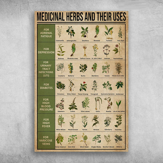 Medicinal Herbs And Their Uses For Adrenal Fatigue For Depression