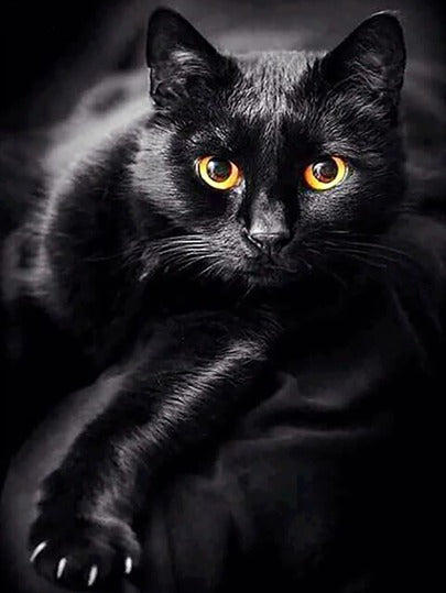 Mystic Black Cat Pose Vintage Art - High Res Versatile Digital Print Instant Download Fairycore, Cottagecore, DIY Craft 