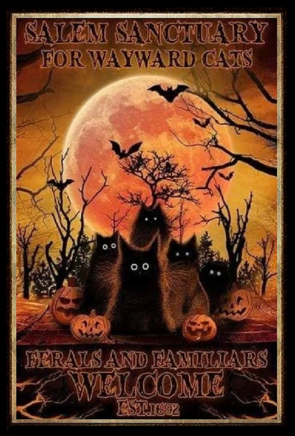 Salem Sanctuary for Wayward Cats Halloween Vintage Art - High Res Versatile Digital Print Instant Download Fairycore, Cottagecore, DIY Craft
