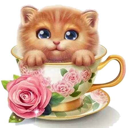 Set of 3 Kittens Transparent Background | Digital Download Wall Art Print and Frame Custom Cards, TShirt Art, Coffee Cup, Quote Design, Etc