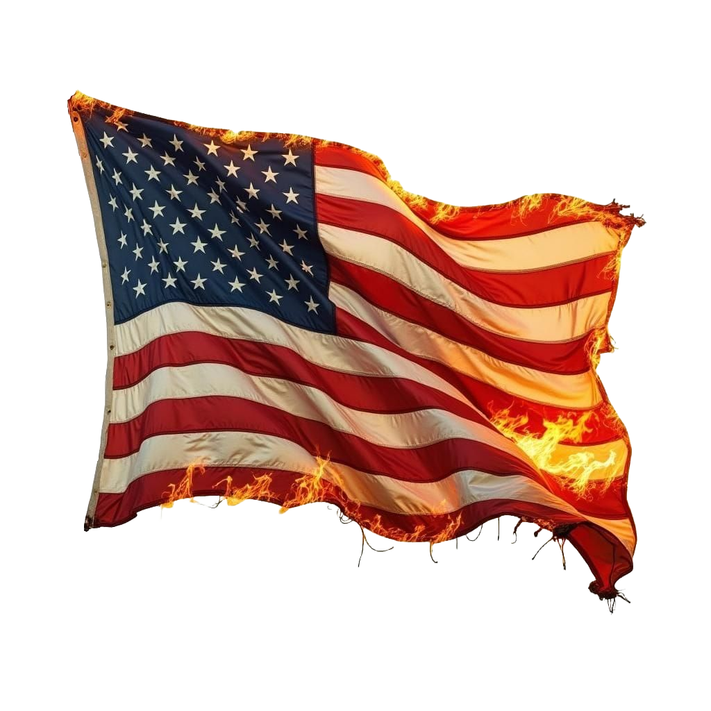 Any Veteran Digital Download Print On Demand Canvas Poster Wall Art for Your Magical Journey