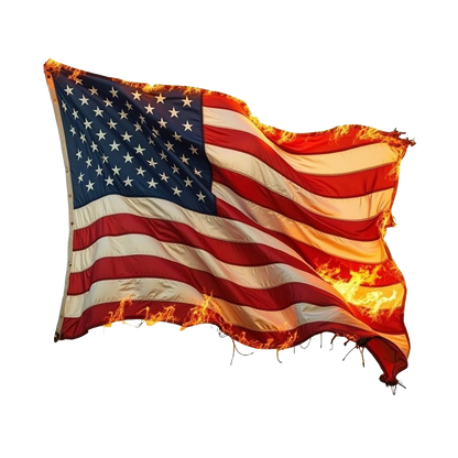 Any Veteran Digital Download Print On Demand Canvas Poster Wall Art for Your Magical Journey