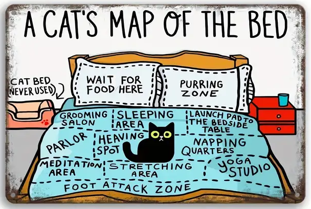 A Cats Map of the Bed Graphic Print and Frame Wall Art Home Decor Fantasy Print Digital download Instant Access Create Your Own Art Print Can Be Edited