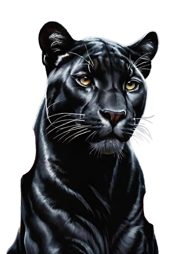 Black Cat and Panther AI Enhanced Versatile Digital Designed Instant Download Fairycore Cottagecore DIY Craft