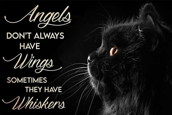 Inspirational Black Cat Angels Don't Always Have Wings Sometimes they have Whiskers - Versatile Digital Art Fairycore, Cottagecore, Crafts