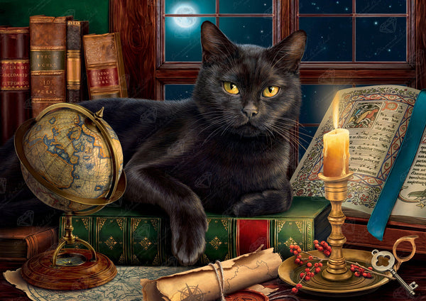 Black Cat In Den Spell Books Full Moon - High Resolution Versatile Digital Art Instant Download Fairycore, Cottagecore, DIY Crafts