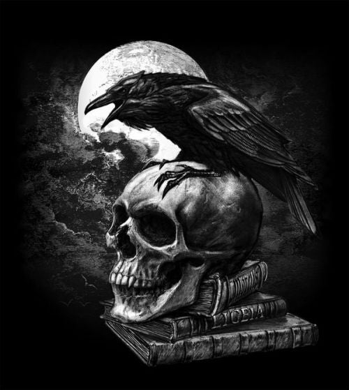 Poe Raven on Skull Book Dark Art Coven Display Tapestry - High Resolution Versatile Digital Instant Download Fairycore Cottagecore DIY Craft