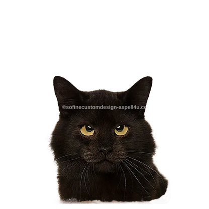 Library Page Black Cat Every Snack You Make AI Created One of a Kind Digital Download Canvas Poster Wall Art DIY Printable DIY Craft Supply