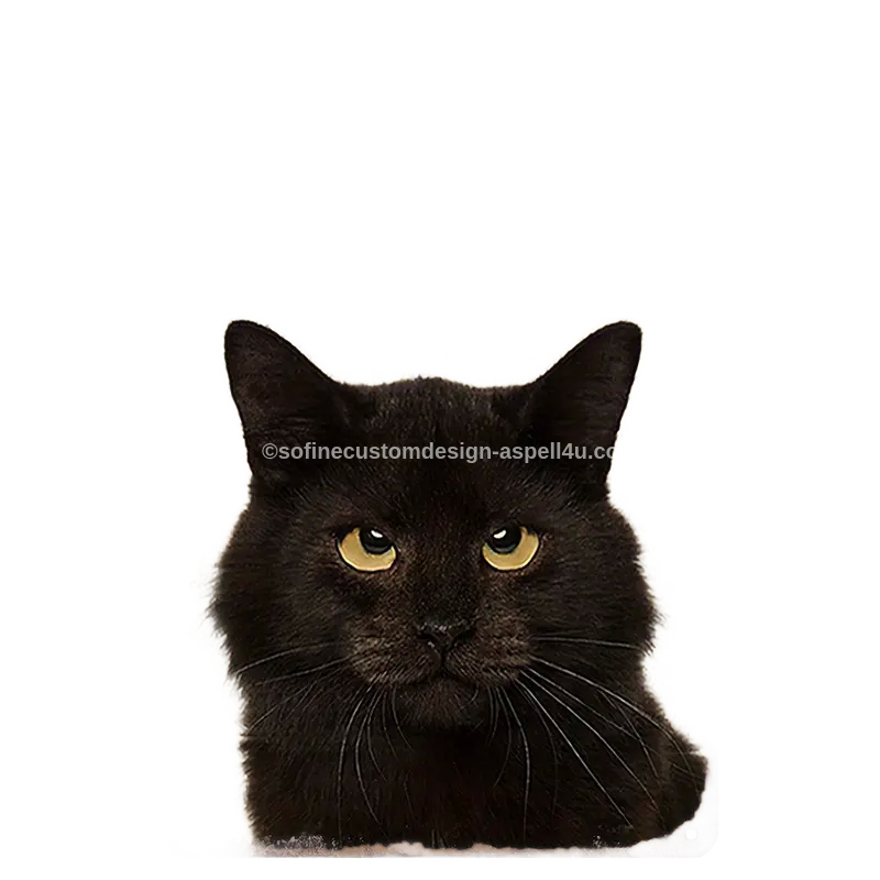 Library Page Black Cat Every Snack You Make AI Created One of a Kind Digital Download Canvas Poster Wall Art DIY Printable DIY Craft Supply