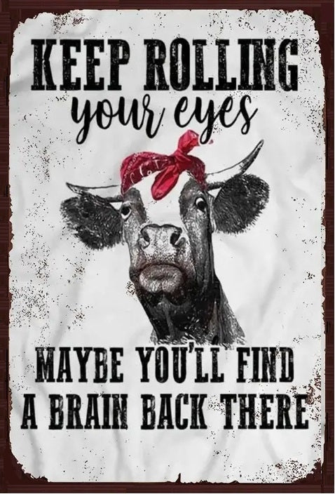 Keep Rolling Your Eyes Maybe You'll Find A Brain Back There - Unique Funny Quote Home Decor - AI Enhanced High Resolution Digital Custom Design One of a Kind Art