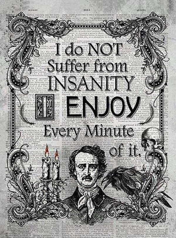 Abstract Poe Black Raven Art Insanity Quote Art Vintage Gothic Themed Newspaper Print AI Created Digital Download Art Cottage Core DIY Craft