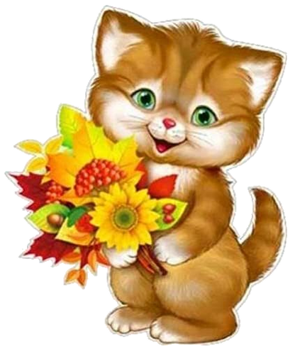 Set of 5 Kittens Transparent Background | Digital Download Wall Art Print and Frame Custom Cards, TShirt Art, Coffee Cup, Quote Design, Etc