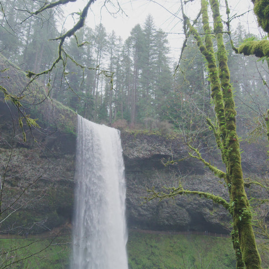 Calming Yoga Meditation Music | Peaceful Nature Sounds for Relaxation & Mindfulness