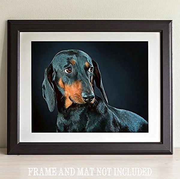 A Collection of Dachshunds - Weiner Dog Art Gift - Digital Download - Canvas Poster - One of A Kind Print - Custom Made AI Designed Wall Art- Dog Art - Dachshund  - Digital Download Art Poster, Canvas Print, Cottage Core