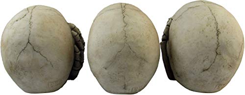 Macabre Halloween Gothic Home Décor Set of Three (3) See Hear Speak No Evil Realistic Mini Skull Figurines , 4.5-inch