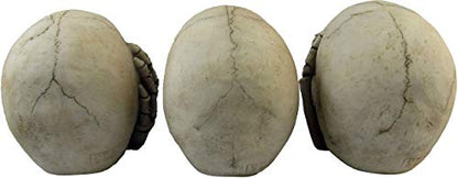 Macabre Halloween Gothic Home Décor Set of Three (3) See Hear Speak No Evil Realistic Mini Skull Figurines , 4.5-inch